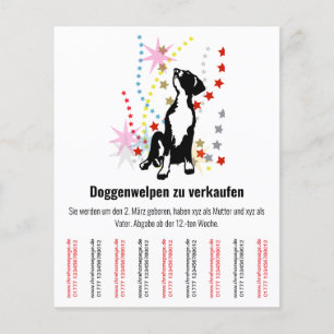 Prospectus 11,4 Cm X 14,2 Cm Annonce Chiots