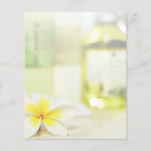 Prospectus 11,4 Cm X 14,2 Cm Aromathérapie Spa Soins de la peau Salon de massag