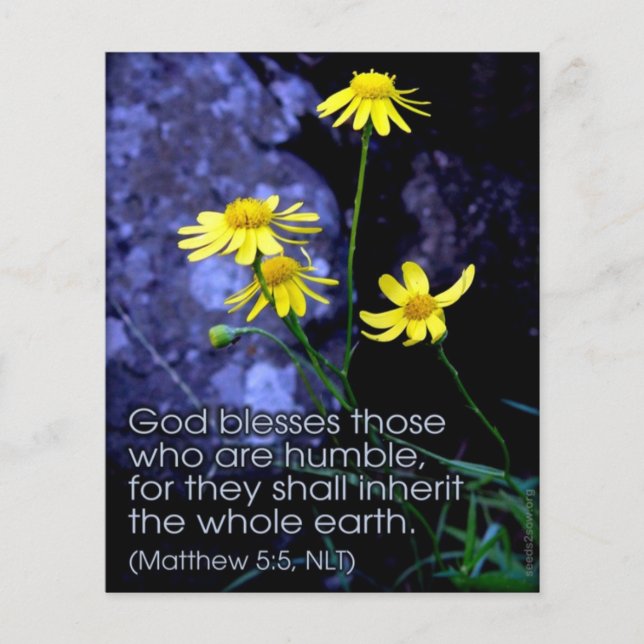 Prospectus 11,4 Cm X 14,2 Cm Bienheureux sont les Meek (Devant)