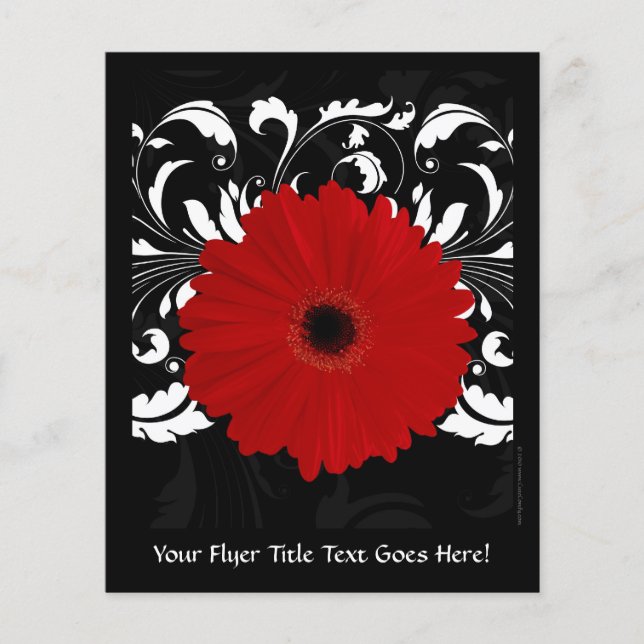 Prospectus 11,4 Cm X 14,2 Cm Bright Red Gerbera Daisy on Black (Devant)