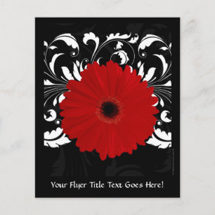 Prospectus 11,4 Cm X 14,2 Cm Bright Red Gerbera Daisy on Black
