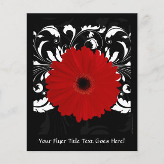 Prospectus 11,4 Cm X 14,2 Cm Bright Red Gerbera Daisy on Black