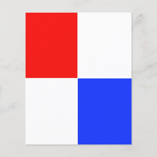 Prospectus 11,4 Cm X 14,2 Cm Broche rouge, blanc et bleu ajustable (Dos)