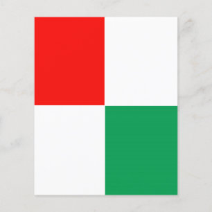 Prospectus 11,4 Cm X 14,2 Cm Broche rouge, blanche et verte