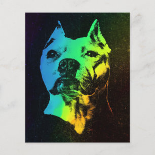 Prospectus 11,4 Cm X 14,2 Cm Cadeau coloré de Bulldog américain