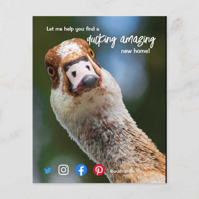 Prospectus 11,4 Cm X 14,2 Cm canard merveilleux agent immobilier fantastique ma (Devant)