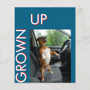 Prospectus 11,4 Cm X 14,2 Cm Célébrez 18 ans de style avec ce bouleau élégant