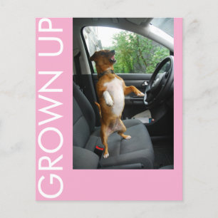 Prospectus 11,4 Cm X 14,2 Cm Célébrez 18 ans de style avec ce bouleau élégant