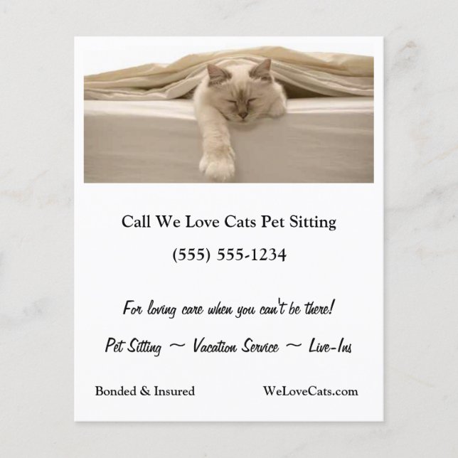 Prospectus 11,4 Cm X 14,2 Cm Chat Beige Couché Sur Lit Beige (Devant)