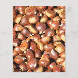 Prospectus 11,4 Cm X 14,2 Cm chestnuts-211079  chestnuts sweet chestnuts delici