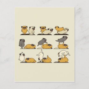 Prospectus 11,4 Cm X 14,2 Cm Chien-taureaux français Pots de Yoga Amateurs de