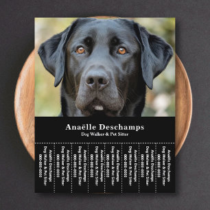 Prospectus 11,4 Cm X 14,2 Cm Chien Walker Animal Sitter Photo Tear Off Strips F