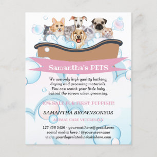 Prospectus 11,4 Cm X 14,2 Cm Chiens Chats Spa Garderie Toilettage Services Soin