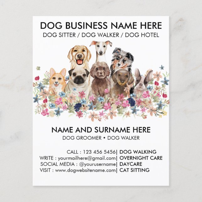 Prospectus 11,4 Cm X 14,2 Cm Chiens de Groomer Botaniques Noirs Animaux (Devant)