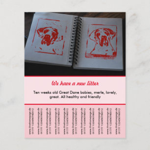 Prospectus 11,4 Cm X 14,2 Cm chiot à vendre prospectus modèles