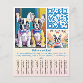 Prospectus 11,4 Cm X 14,2 Cm Chiots Bouledogue Français