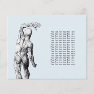 Prospectus 11,4 Cm X 14,2 Cm Chiropractor Massage Therapy Chiropractic Anatomy