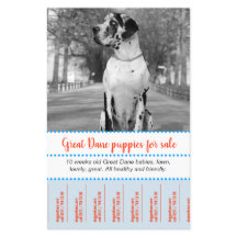 Circulaire de vente de marionnettes