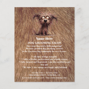 Prospectus 11,4 Cm X 14,2 Cm Circulaire personnalisée de toilettage de chiens