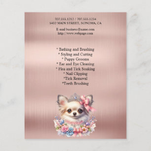 Prospectus 11,4 Cm X 14,2 Cm Circulaire personnalisée de toilettage de chiens