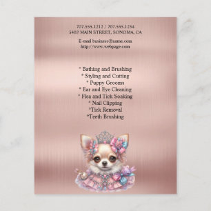 Prospectus 11,4 Cm X 14,2 Cm Circulaire personnalisée de toilettage de chiens