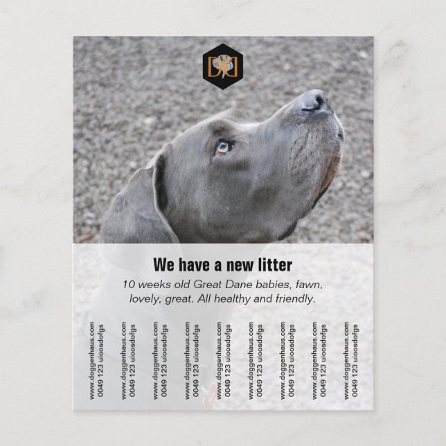 Prospectus 11,4 Cm X 14,2 Cm Circulaire "Vendeur" (Devant)