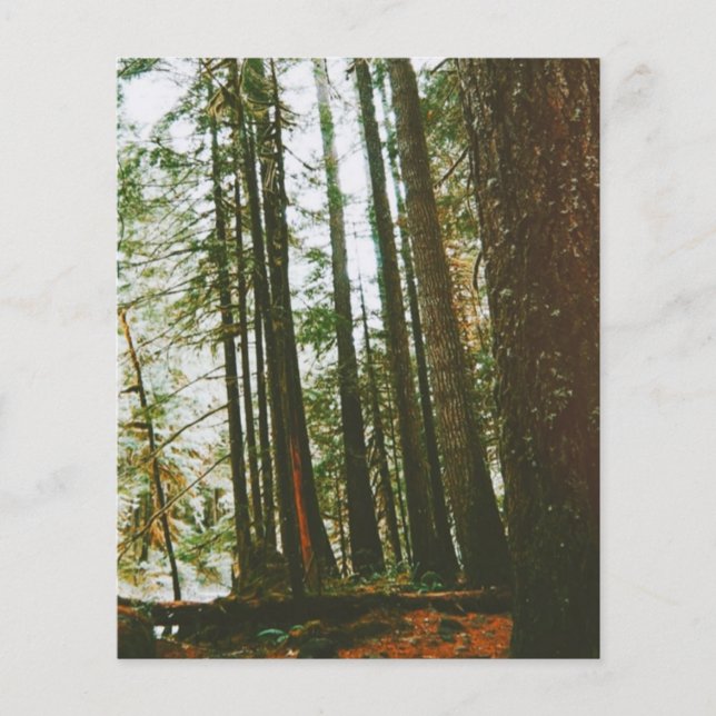 Prospectus 11,4 Cm X 14,2 Cm Coque de spectre (Devant)