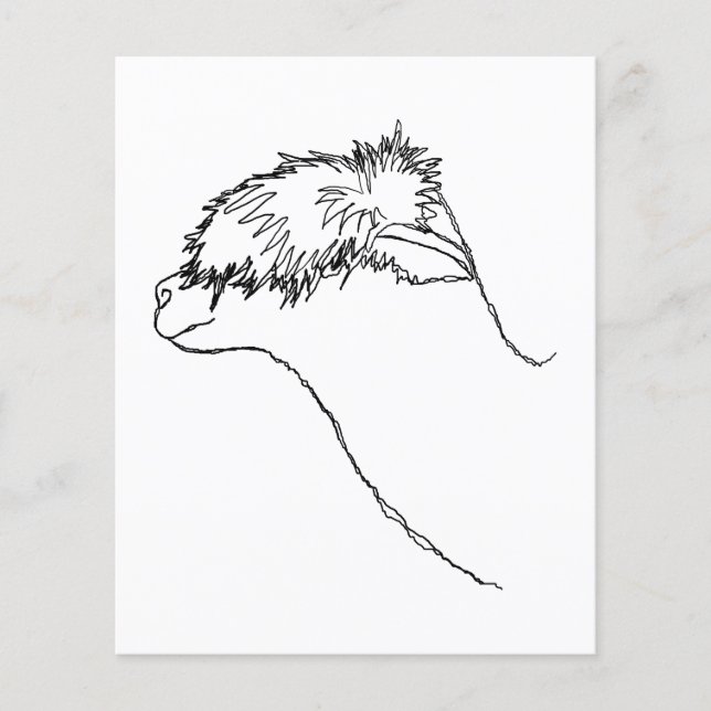 Prospectus 11,4 Cm X 14,2 Cm Croquis d'alpaga. (Devant)