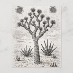 Prospectus 11,4 Cm X 14,2 Cm croquis d'arbre de joshua art de croquis de dése