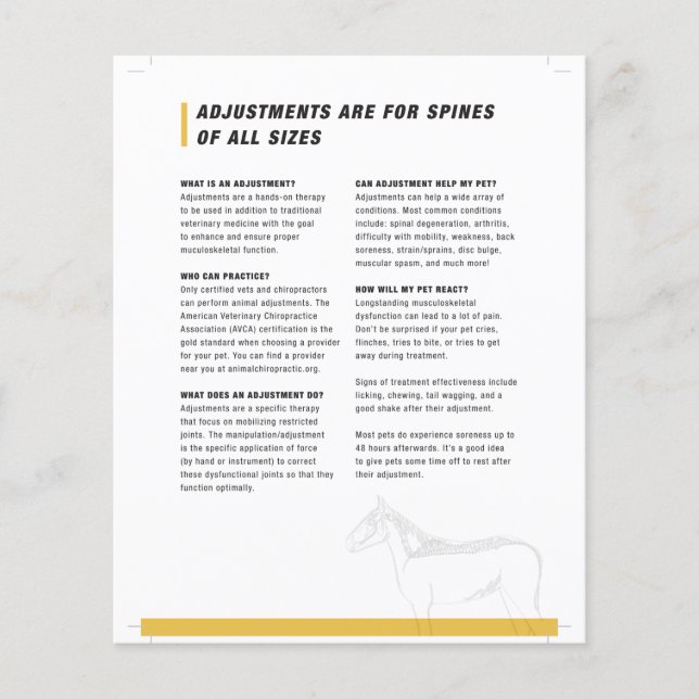 Prospectus 11,4 Cm X 14,2 Cm demi-feuille équine (Devant)