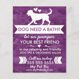 Prospectus 11,4 Cm X 14,2 Cm Dépliant de toilettage pour chien violet tendance
