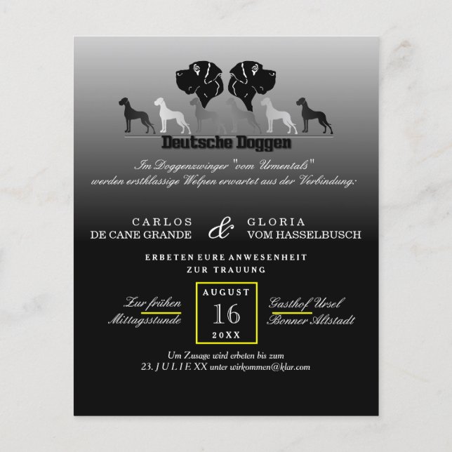 Prospectus 11,4 Cm X 14,2 Cm Doggen flyer (Dos)