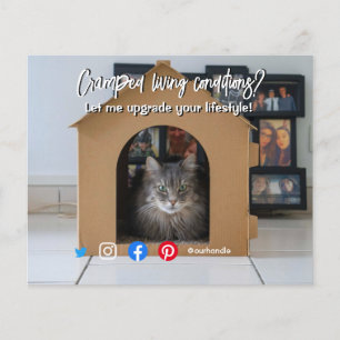 Prospectus 11,4 Cm X 14,2 Cm drôle immobilier bondé chat vivant maison