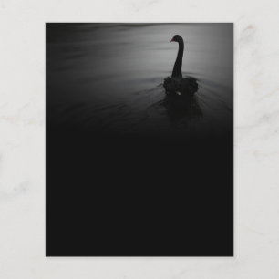 Prospectus 11,4 Cm X 14,2 Cm Elegant Swimming Black Swan