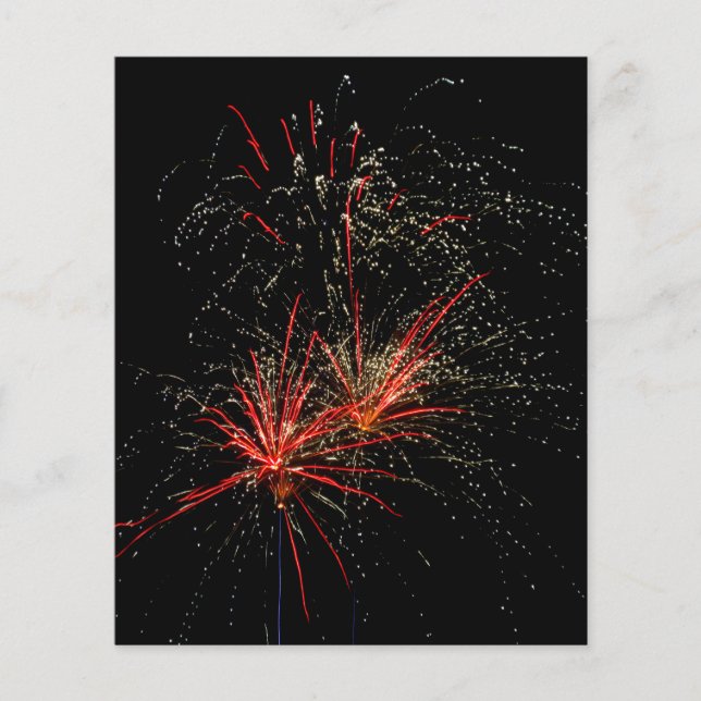 Prospectus 11,4 Cm X 14,2 Cm Firework 03 (Devant)