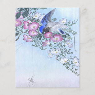 Prospectus 11,4 Cm X 14,2 Cm Fleur d'oiseau araignée bleue impression Amoureu