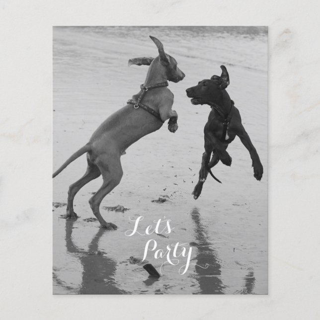 Prospectus 11,4 Cm X 14,2 Cm Flyer d'anniversaire de chiens (Devant)