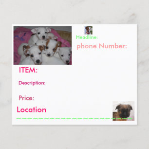 Prospectus 11,4 Cm X 14,2 Cm Flyers de marionnettes