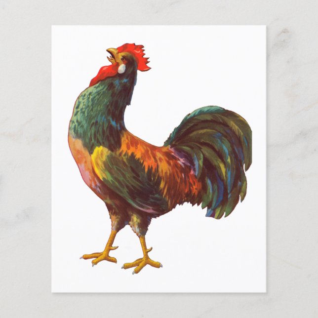 Prospectus 11,4 Cm X 14,2 Cm Flyers personnalisés Retro Rooster Art (Devant)