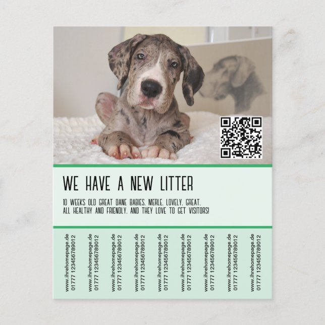 Prospectus 11,4 Cm X 14,2 Cm Grands Chiots à Danse à vendre (Devant)