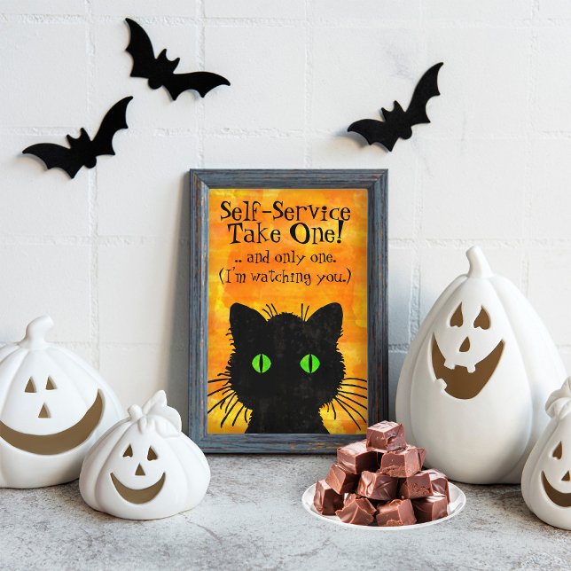 Prospectus 11,4 Cm X 14,2 Cm Halloween éffrayant en chat noir (Black Cat Flyer Framed with Halloween Decorations.)