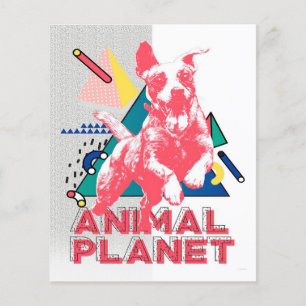 Prospectus 11,4 Cm X 14,2 Cm Happy dog canvas print   Cadeau amoureux mignon