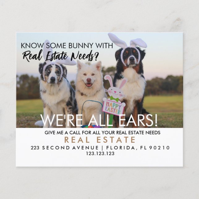 Prospectus 11,4 Cm X 14,2 Cm immobilier easter lapins aiguilles Faire-part (Devant)