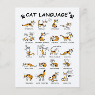 Prospectus 11,4 Cm X 14,2 Cm Langage des chats, chaton drôle, idée cadeau pour