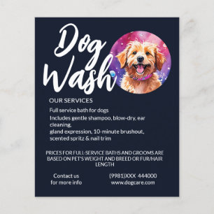 Prospectus 11,4 Cm X 14,2 Cm lave-linge