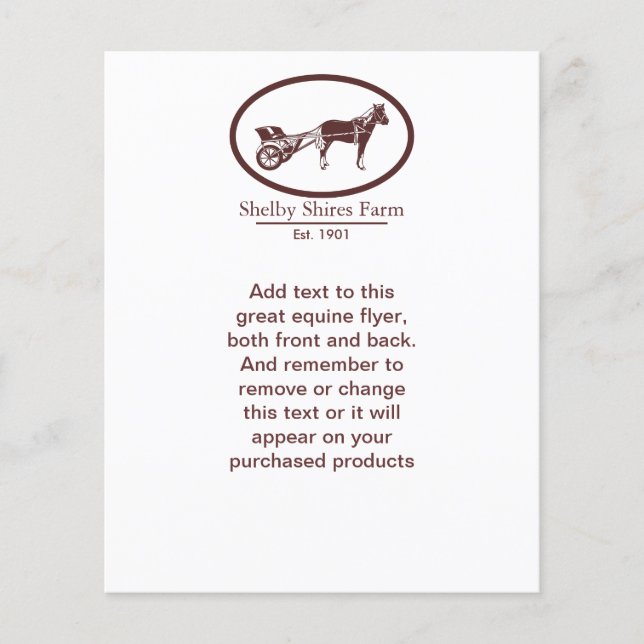 Prospectus 11,4 Cm X 14,2 Cm Logo de cheval et de buggy (Devant)