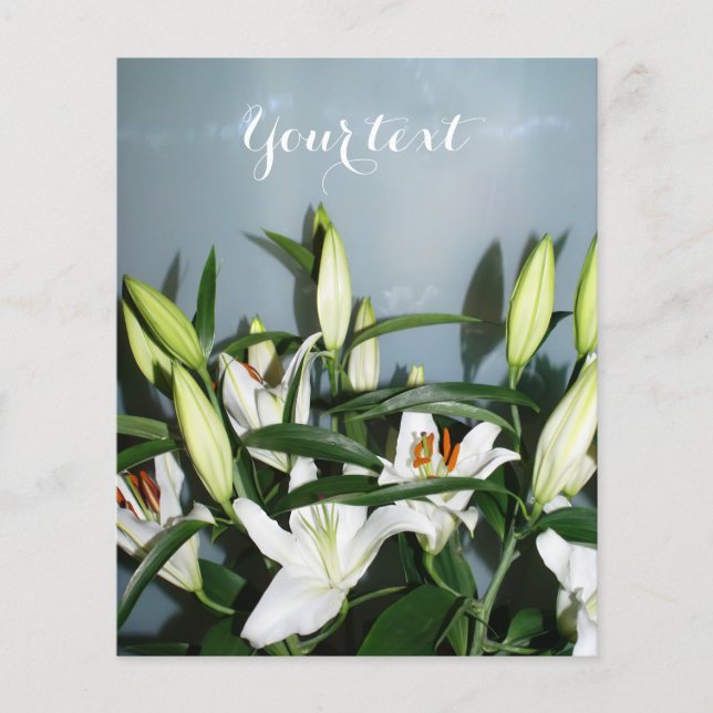 Prospectus 11,4 Cm X 14,2 Cm Lys blancs (Devant)