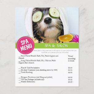Prospectus 11,4 Cm X 14,2 Cm Menu des services Spas de chien Grooming