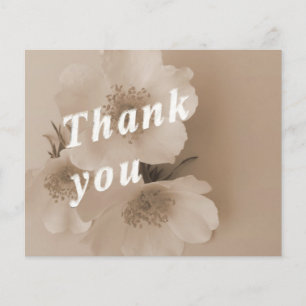 Prospectus 11,4 Cm X 14,2 Cm merci