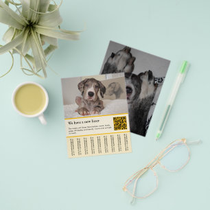 Prospectus 11,4 Cm X 14,2 Cm modèles de flyers pour chiots à vendre